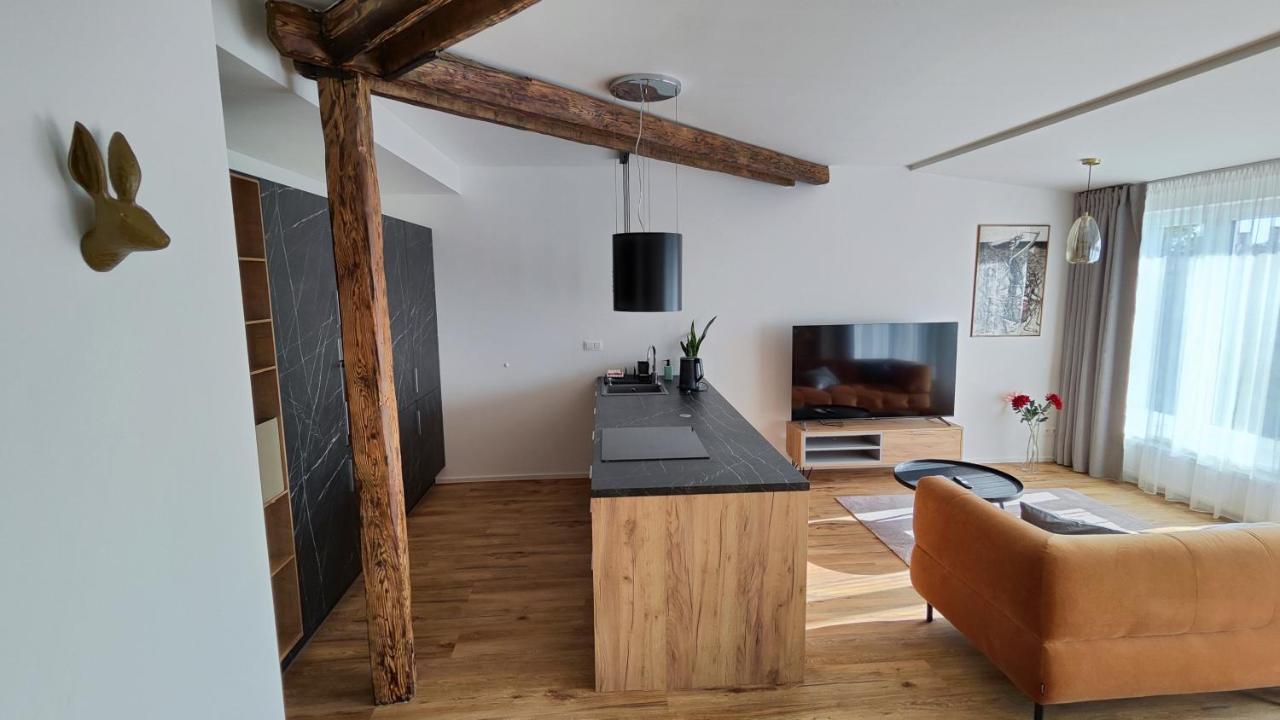 Dohnanyi Villa By Chors Trenčín Exteriér fotografie